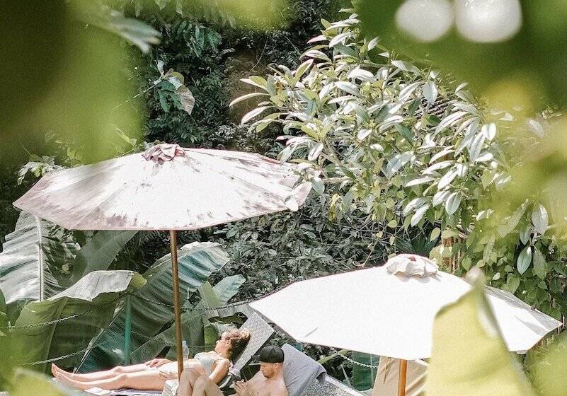 민박 Song Broek Jungle Resort