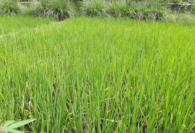 ホテル Baansongkhata