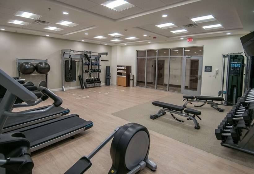 בית מלון כפרי Hilton Garden Inn Jackson/clinton
