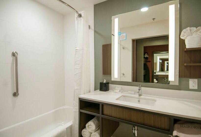 בית מלון כפרי Hilton Garden Inn Jackson/clinton