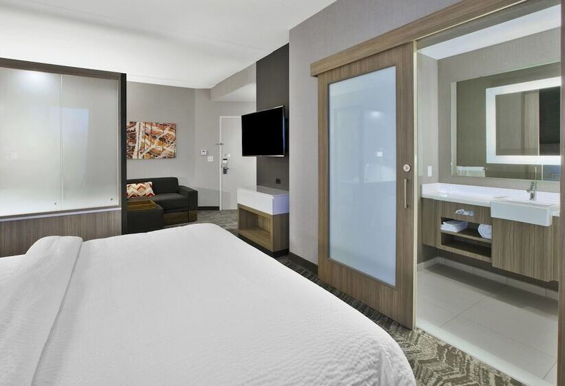 호텔 Springhill Suites By Marriott Chattanooga North/ooltewah