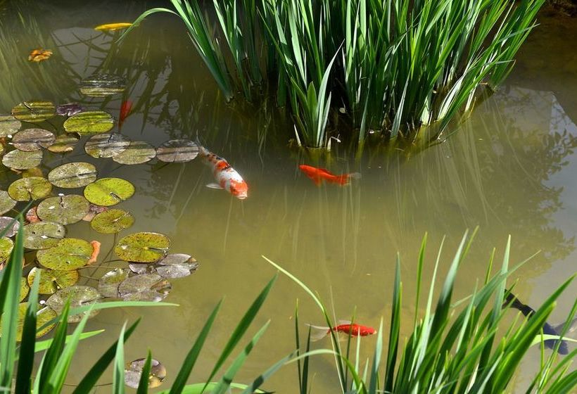 فندق Wuxi Shanse