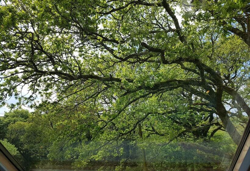 ペンション Meadow Oak Accommodation