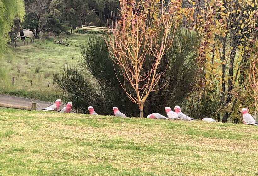 Bed and Breakfast The Studio  Yarra Valley