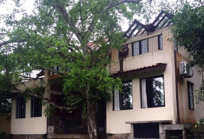 膳宿费 Villa Attikka