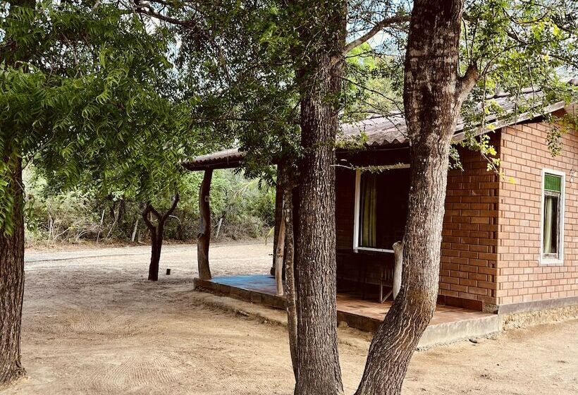 ユースホステル Funky Leopard Safari Lodge Bordering Yala National Park