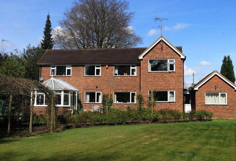 צימר Dawyk Beech Guesthouse