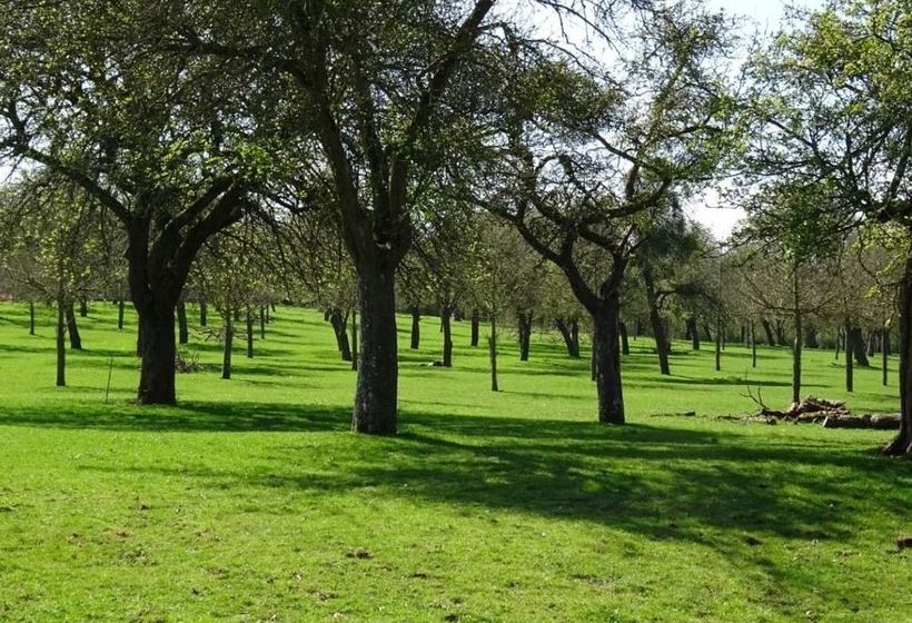 ベッドアンドブレックファースト Moor Court Farm