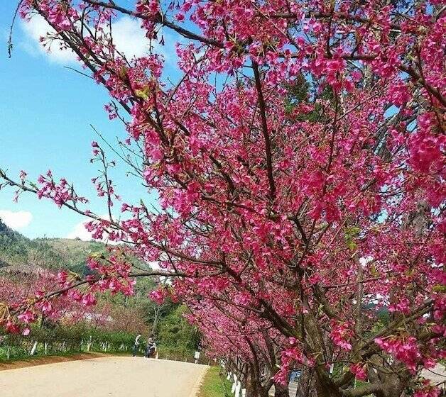 پانسیون Baan Aingdoi Homestay