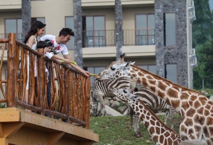 ホテル Baobab Safari Resort