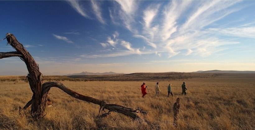 酒店 Elewana Lewa Safari Camp