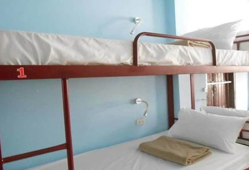 Lucky Backpacker Hostel