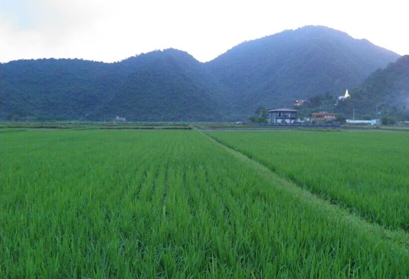 Phoenix Landscaping B&b