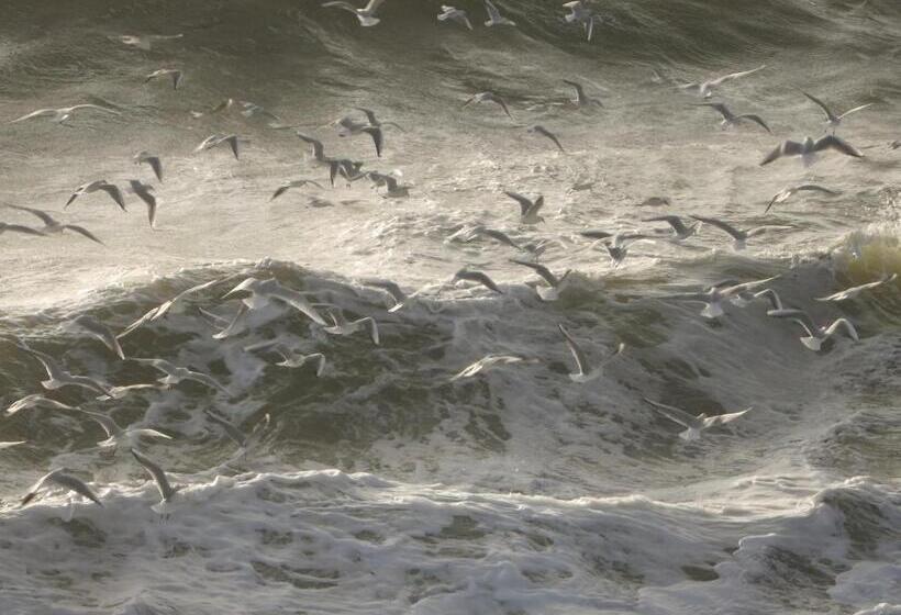 住宿加早餐  Back To Breizh