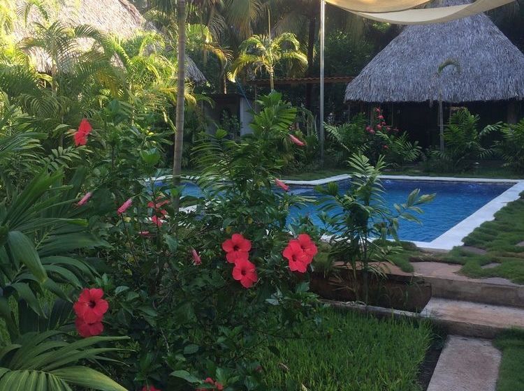 فندق Papaya Lodge Las Flores