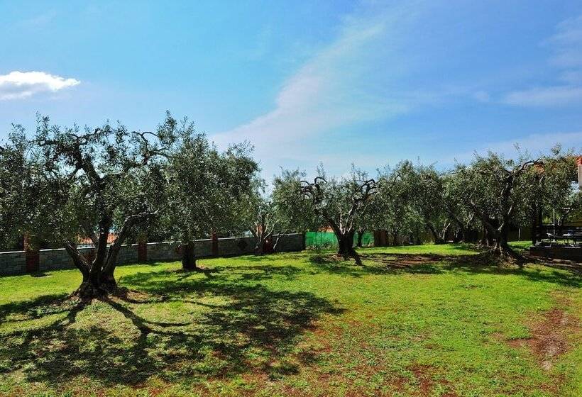 בית מלון כפרי Sunday Summer Resort