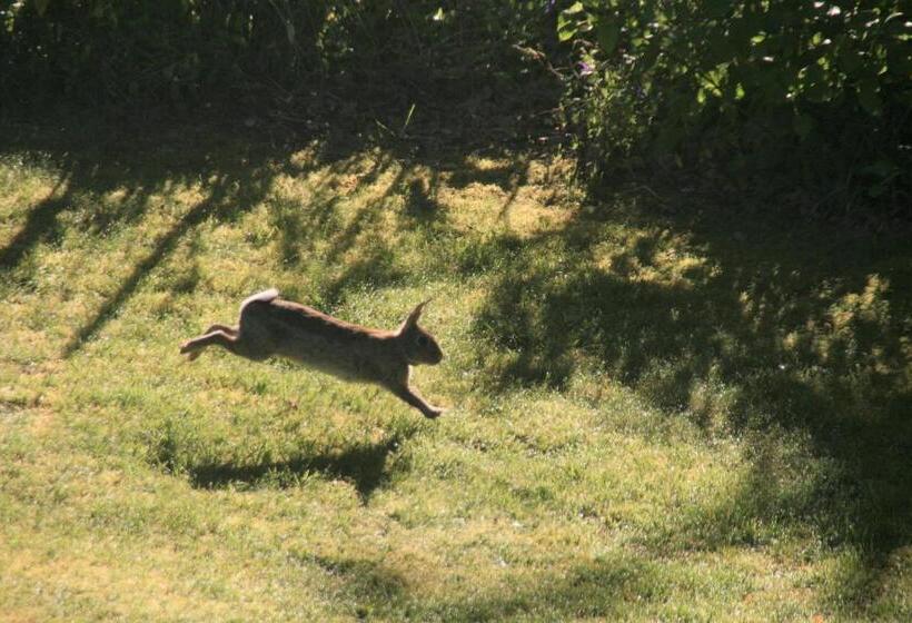 پانسیون Au Charme Du Lac Piscine Chauffé Proche Parc Et Restaurant Du Casino