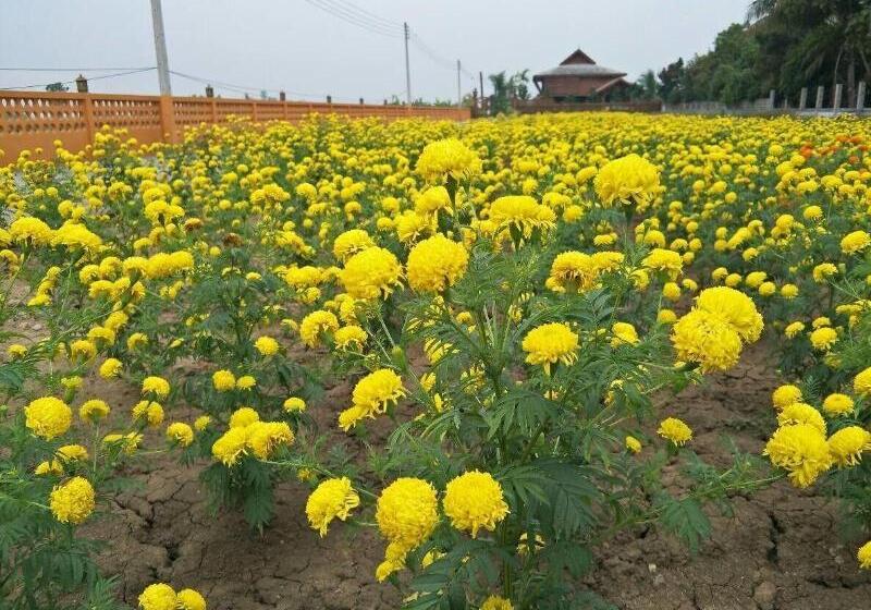 膳宿费 Huanmaisakngam Resort