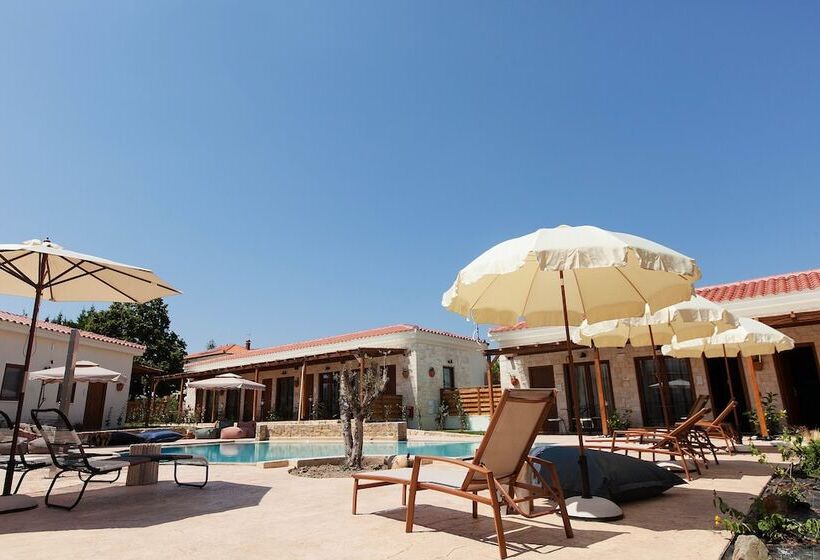 Casa Afytos   Adults Only