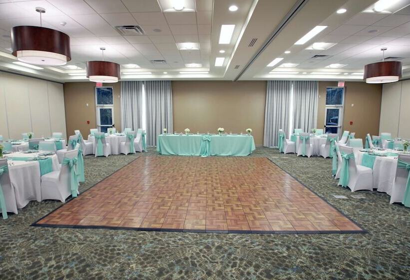 Отель Hilton Garden Inn Tampa Wesley Chapel, Fl