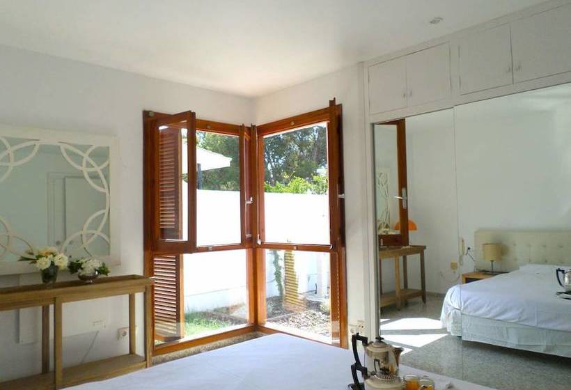 Olive Tree House