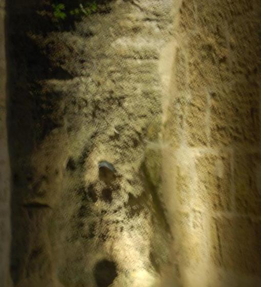 Отель Rocaminori Hôtel