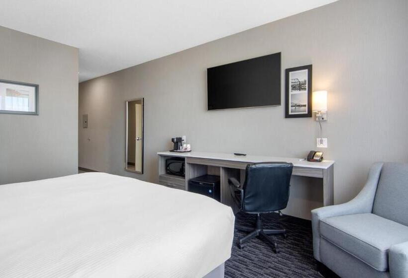 هتل Comfort Inn & Suites