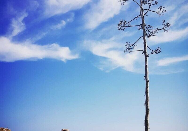 مبيت وإفطار Concas Apartament