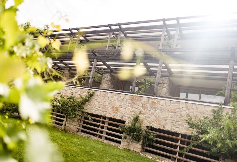 בית מלון כפרי Hasslhof