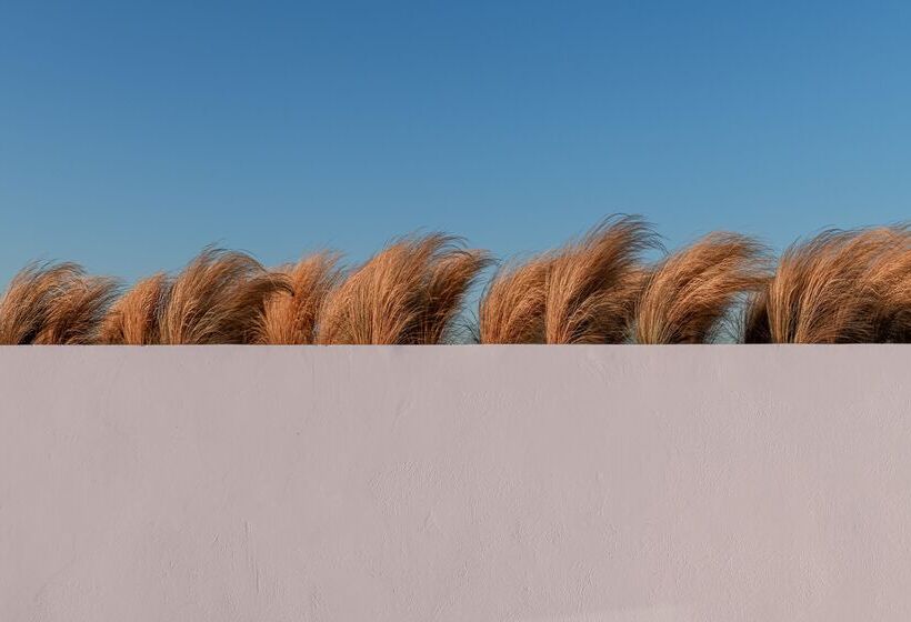 هتل Andronis Arcadia