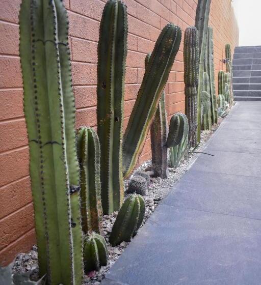 هتل Casa Santo Tomas