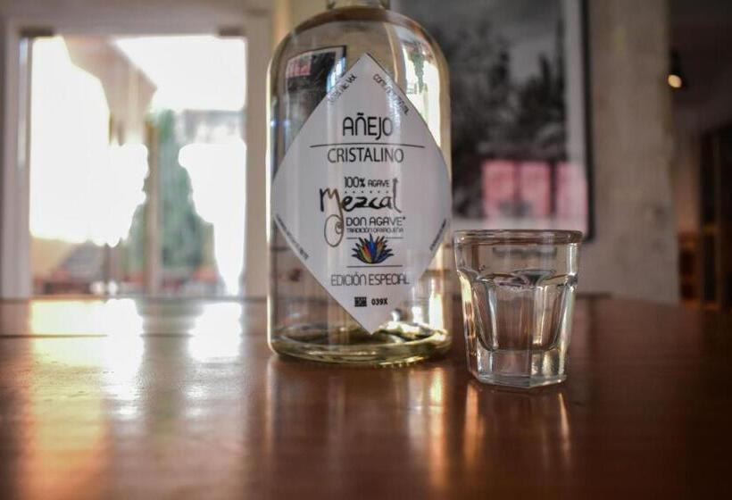 هتل Casa Santo Tomas