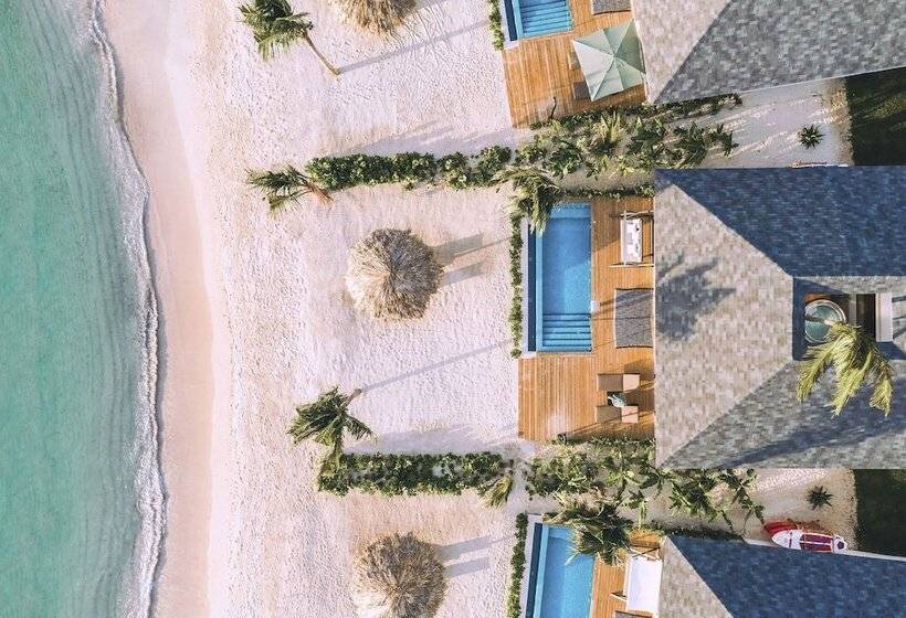هتل Excellence Oyster Bay   Adults Only All Inclusive