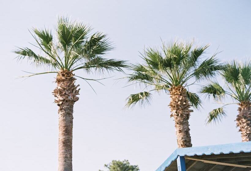 هتل Palm Beach