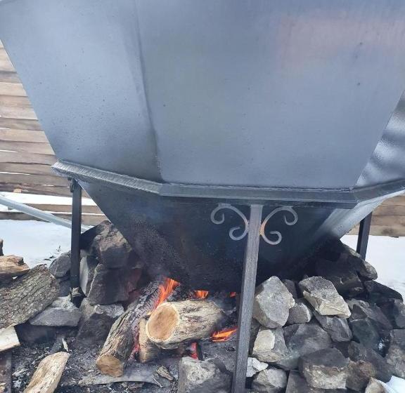 פנסיון Herzen House