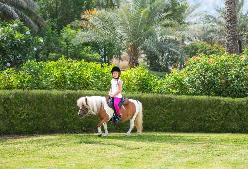 Ja The Resort   Ja Lake View Hotel, Dubai