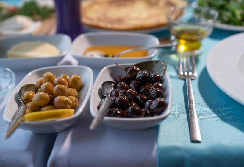 بنسيون Assos Kartal Yuvasi