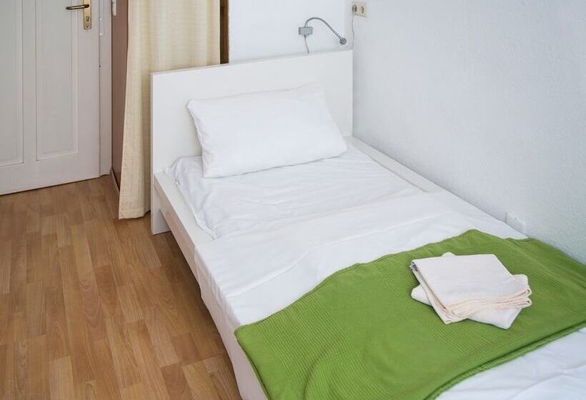 پانسیون Hemingway`s Heidelberg Hostel