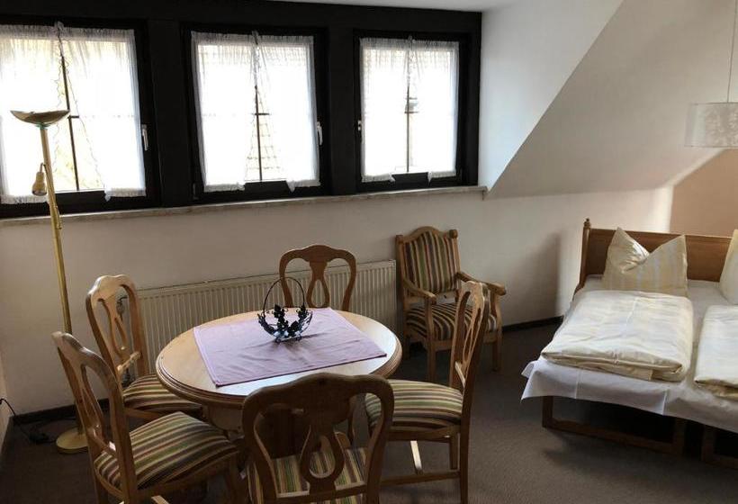 بنسيون Landhotel Alte Aue