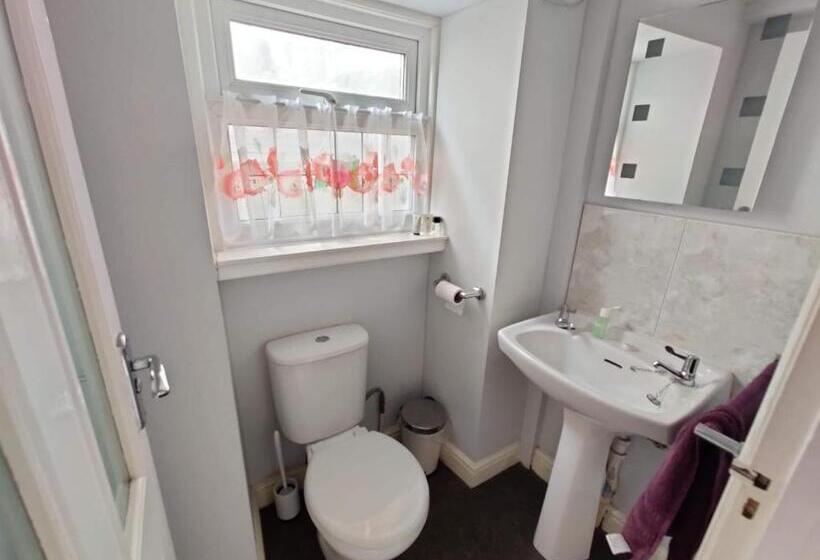 פנסיון Llwynygog Guest House