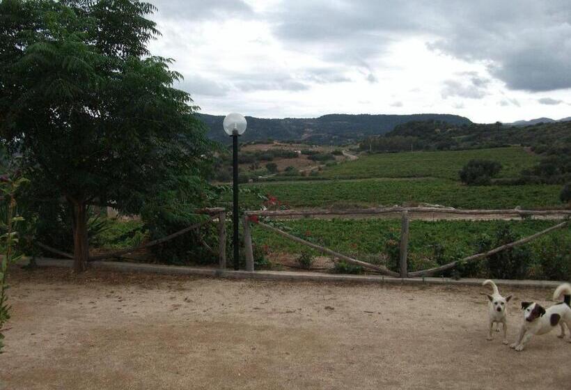 فندق Agriturismo Su Solianu