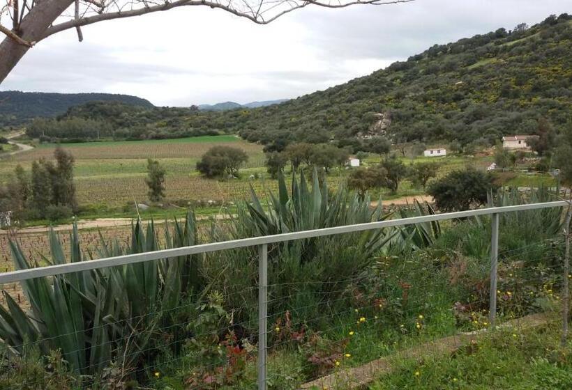 فندق Agriturismo Su Solianu