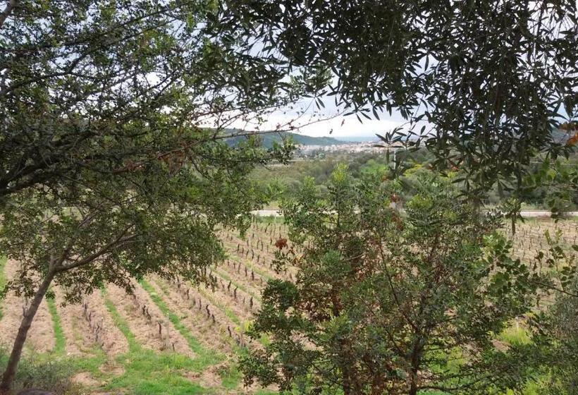 فندق Agriturismo Su Solianu