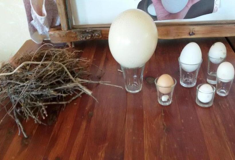 فندق Agriturismo Su Solianu