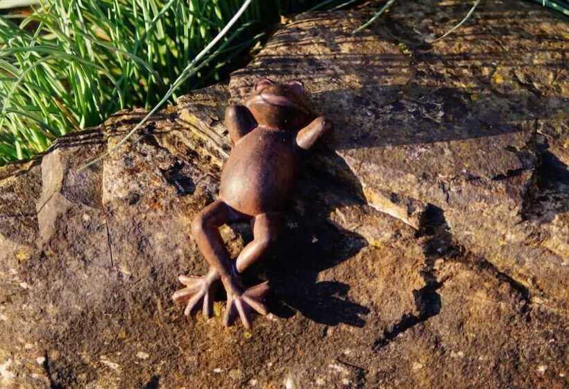 ペンション Gästehaus Panorama