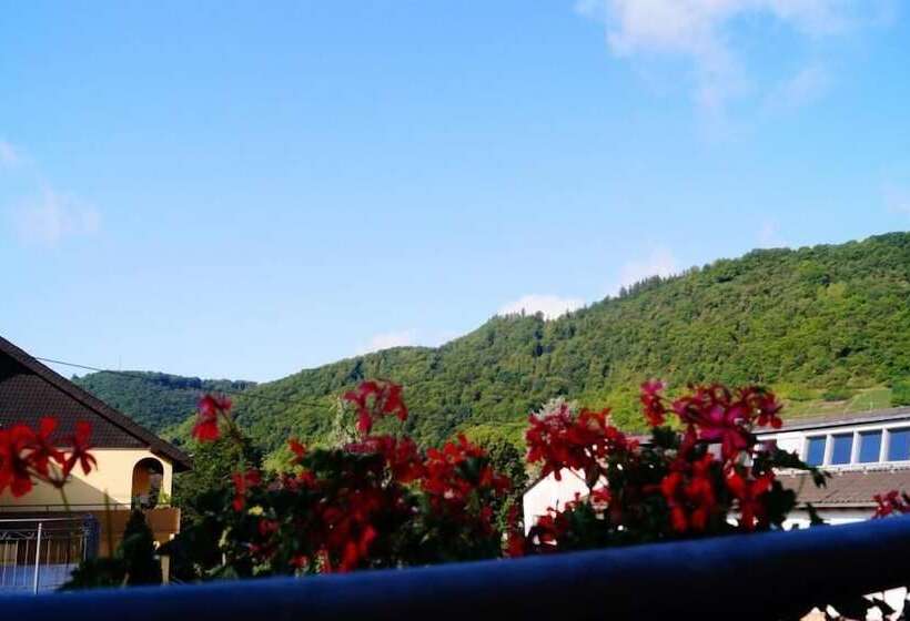 ペンション Gästehaus Panorama