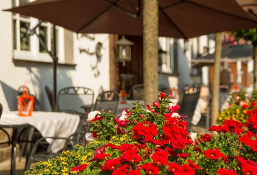 بنسيون Landgasthof Schneider, Westfeld