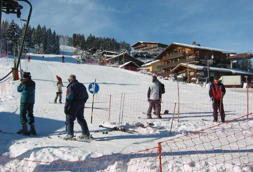 Chalet Gabriel