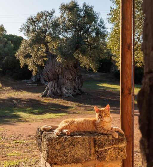 فندق Masseria Brigantino