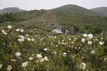 پانسیون La Posada Del Corralón